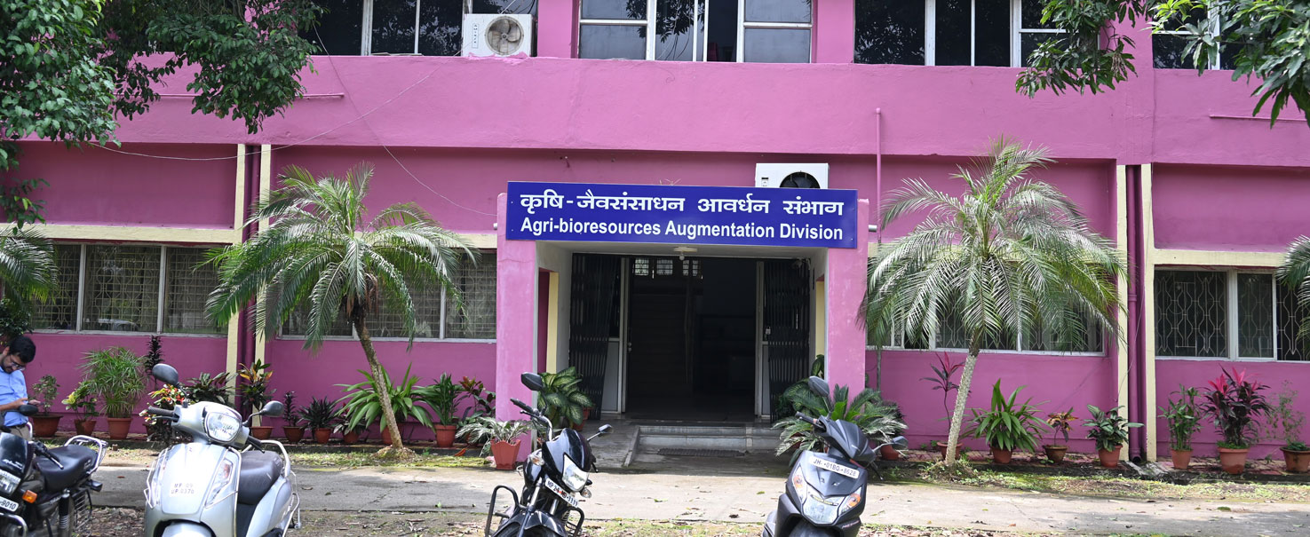 aba