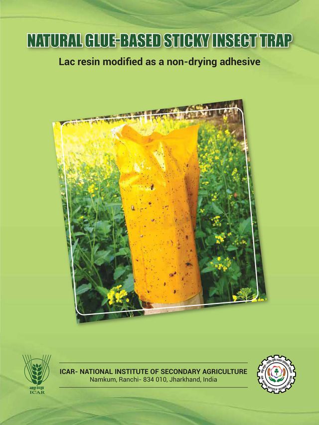 Sticky Insect Trap