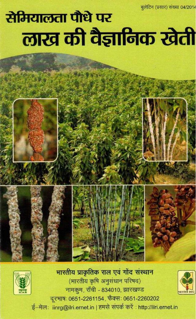 Lac Cultivation on Semialata