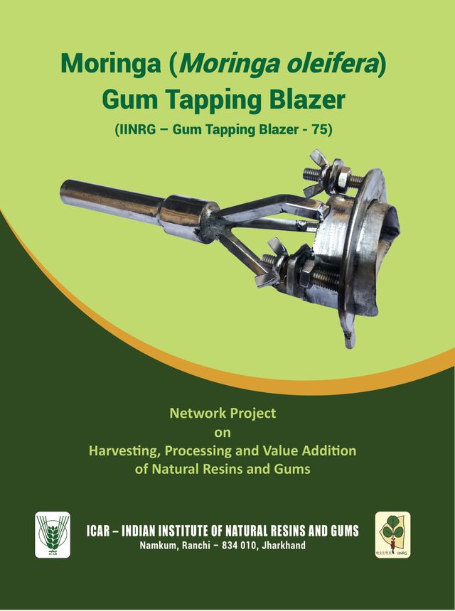 Moringa Gum Tapping Blazer