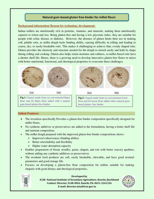 Natural Gum-Based Gluten Free Binder for Millet Flours