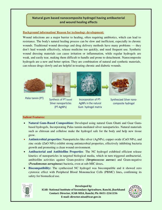 Natural Gum Based Nanocomposite Hydrogel with Antibacterial & Wound Healing Effects
