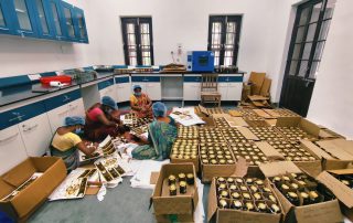 Women workers packing honey jars at the processing unit