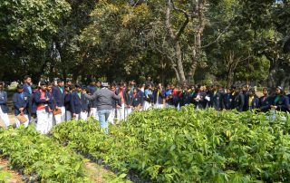 School Students Visit - IRF Nursery