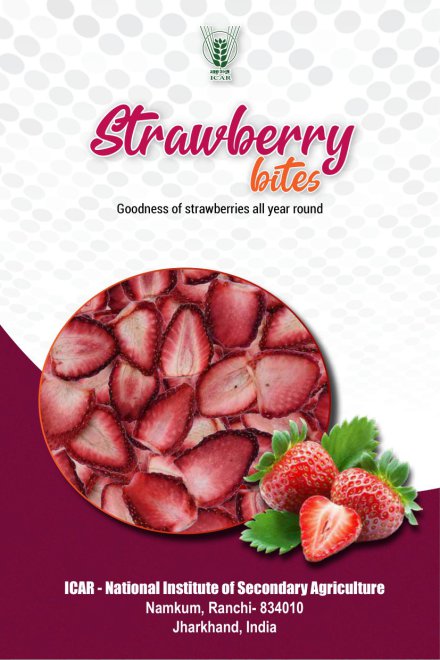 Strawberry Bites