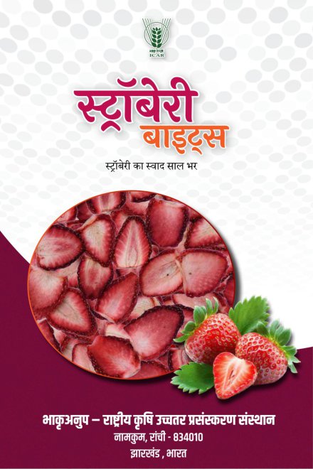Strawberry Bites Hindi